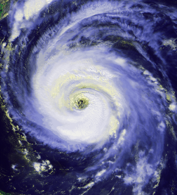 hurricane-fran crop – Eddy Storm Protection